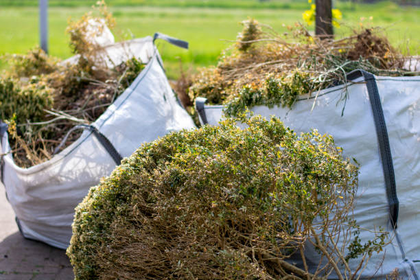 Best Junk Hauling Services  in Lake Park, IA